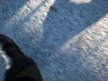 dscn6383-800
